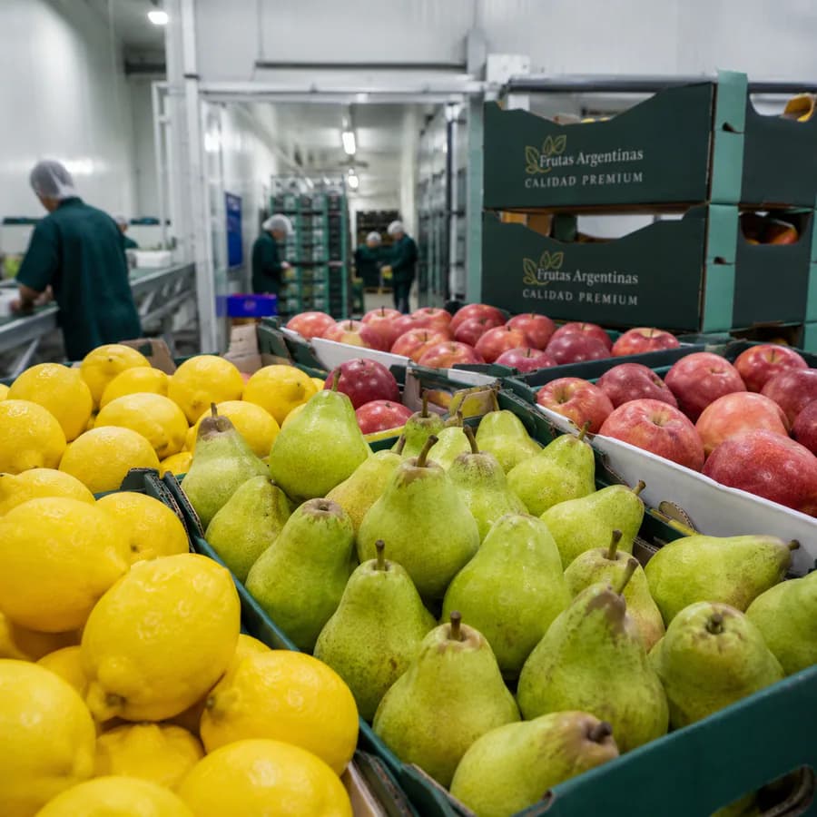 Frutas de origen argentino preparados para exportación